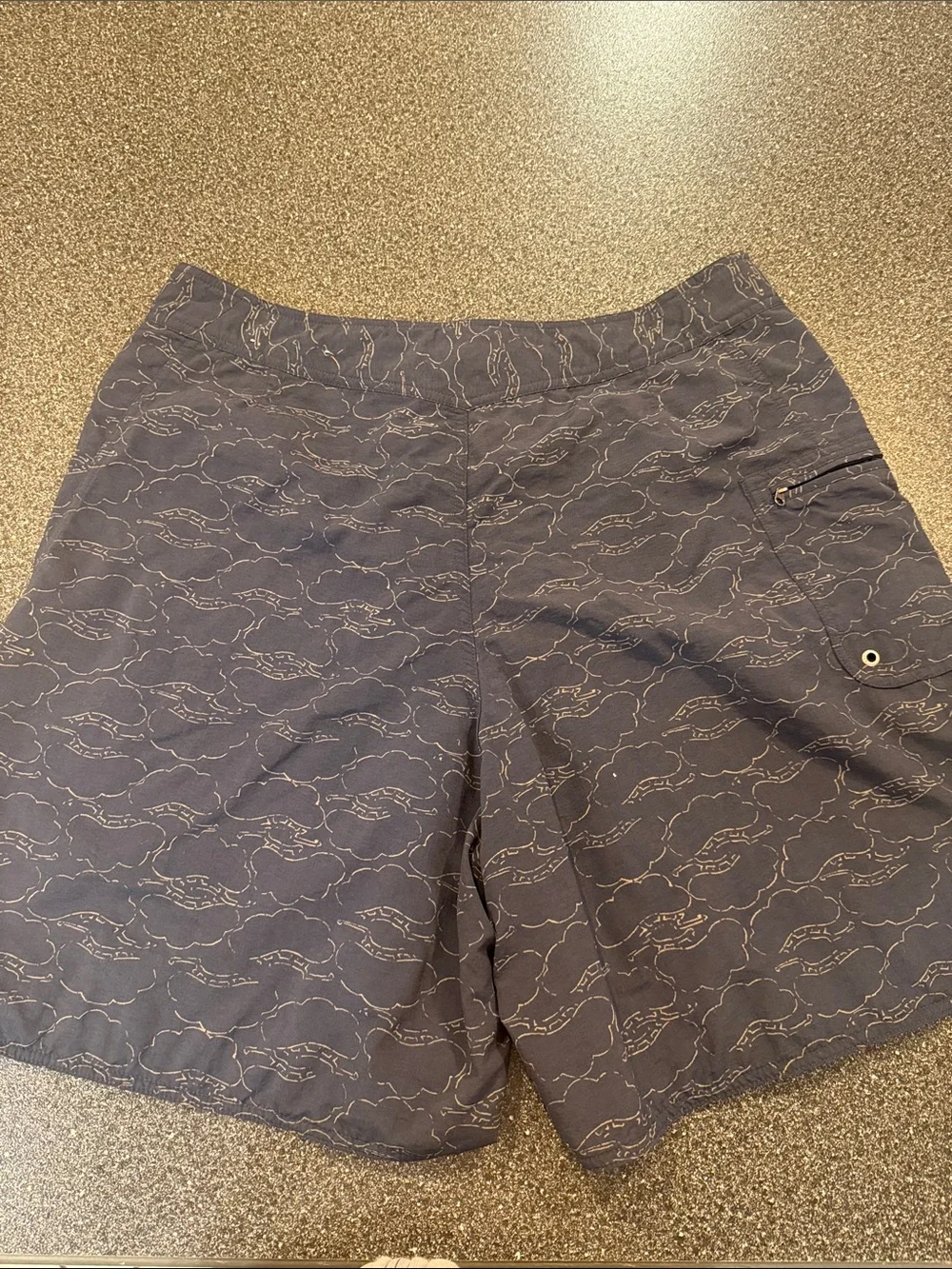 Patagonia Men’s Navy Printed Swim Board Shorts - size 38